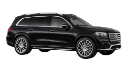 Mercedes-Benz GLS 500 VIP chauffeur Switzerland