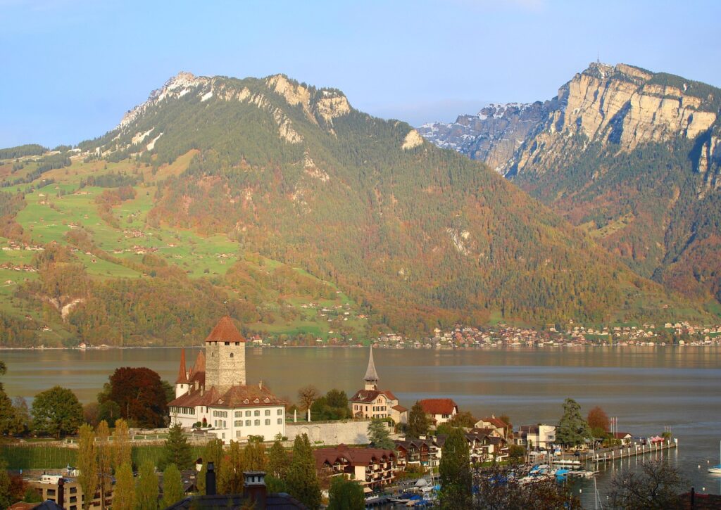Spiez chauffeur service