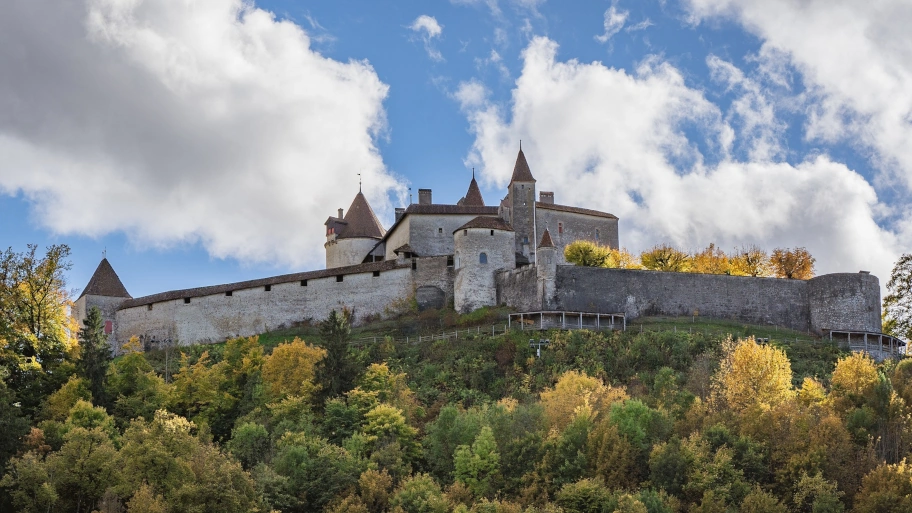 chateau de gruyeres private tours transfers