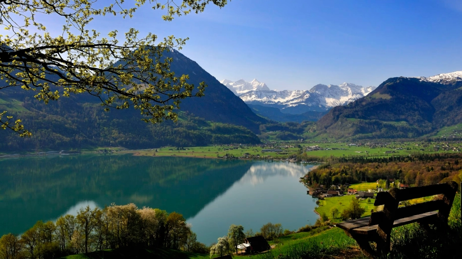 chauffeur sarnen scenic swiss drives