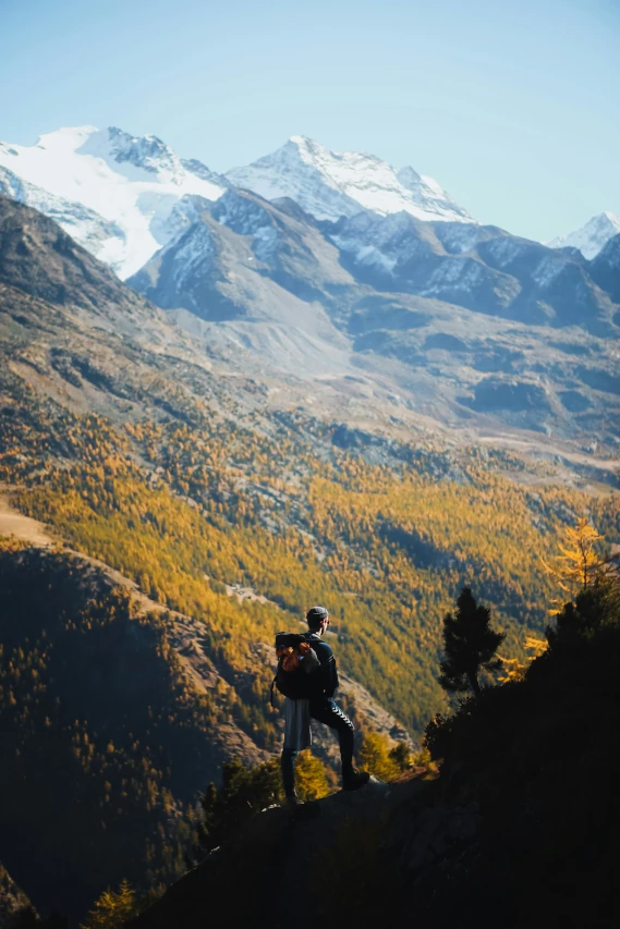 Autumn in Switzerland with golden vineyards and mountain views