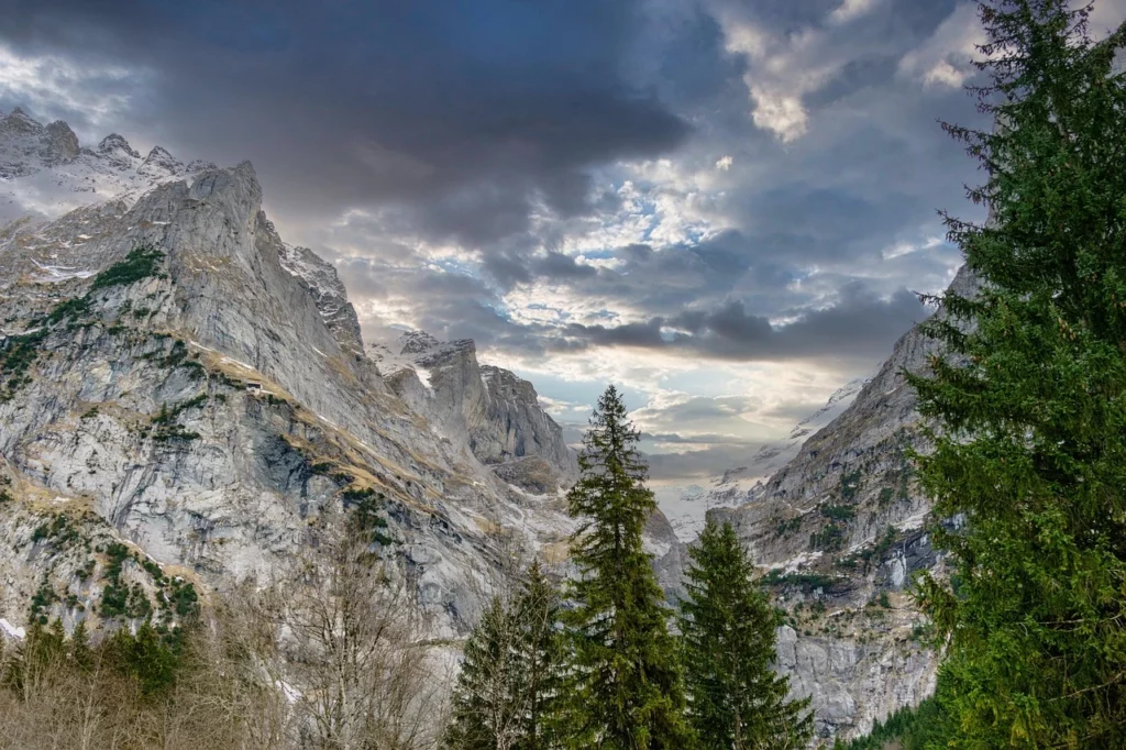 Grindelwald and Jungfraujoch summer trip with private chauffeur driving through alpine meadows