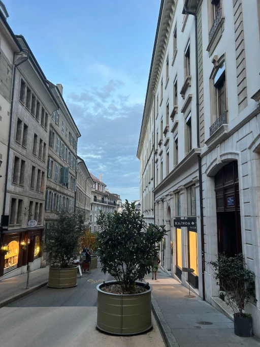 Private chauffeur service in Lake Geneva for diplomats and executives