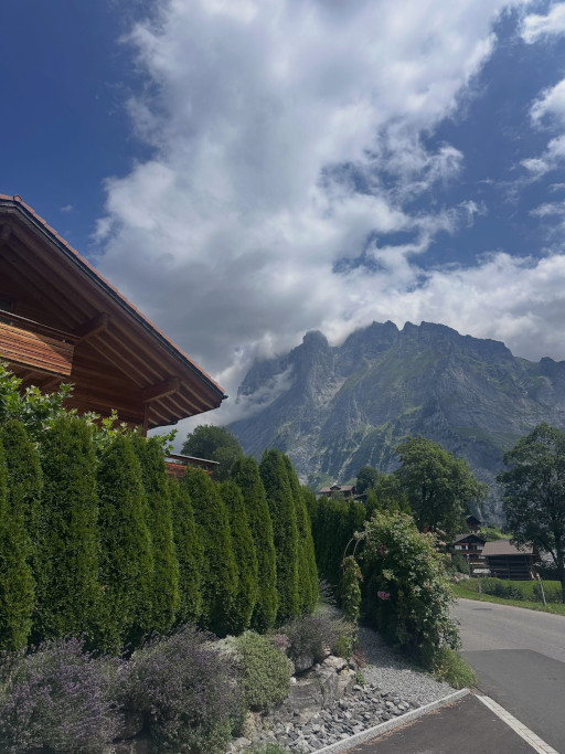 Scenic Swiss Alps mountain valley with green meadows, a narrow road and dramatic cliffs during a private chauffeur tour