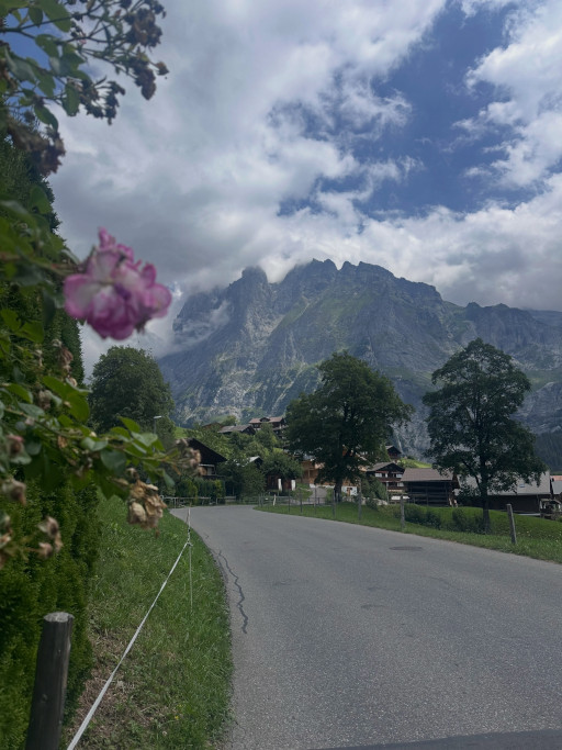 Scenic Swiss Alps mountain valley with green meadows, a narrow road and dramatic cliffs during a private chauffeur tour