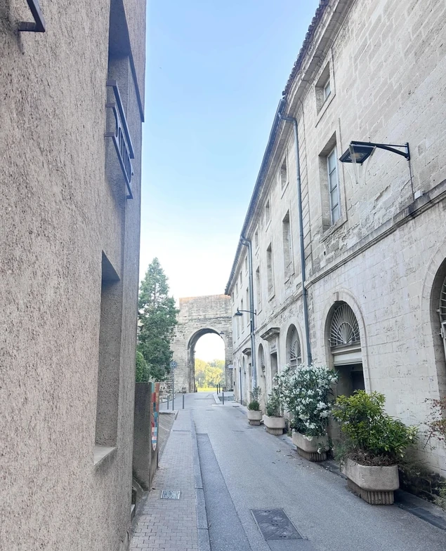 Hidden historic street discovered during our private client journey in Avignon