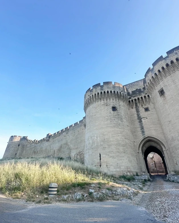 Historic Avignon walls seen while travelling with our dedicated SwissChauffeur private driver