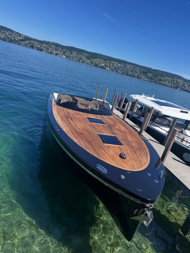 Lake Zurich chauffeur service with lakeside views, gardens, boats, and the Swiss Alps