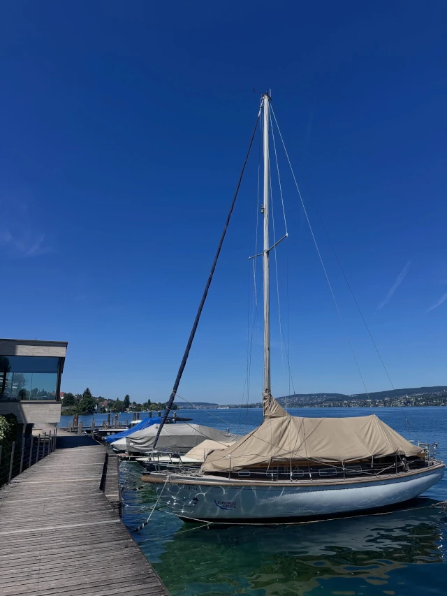 Lake Zurich chauffeur service with lakeside views, gardens, boats, and the Swiss Alps