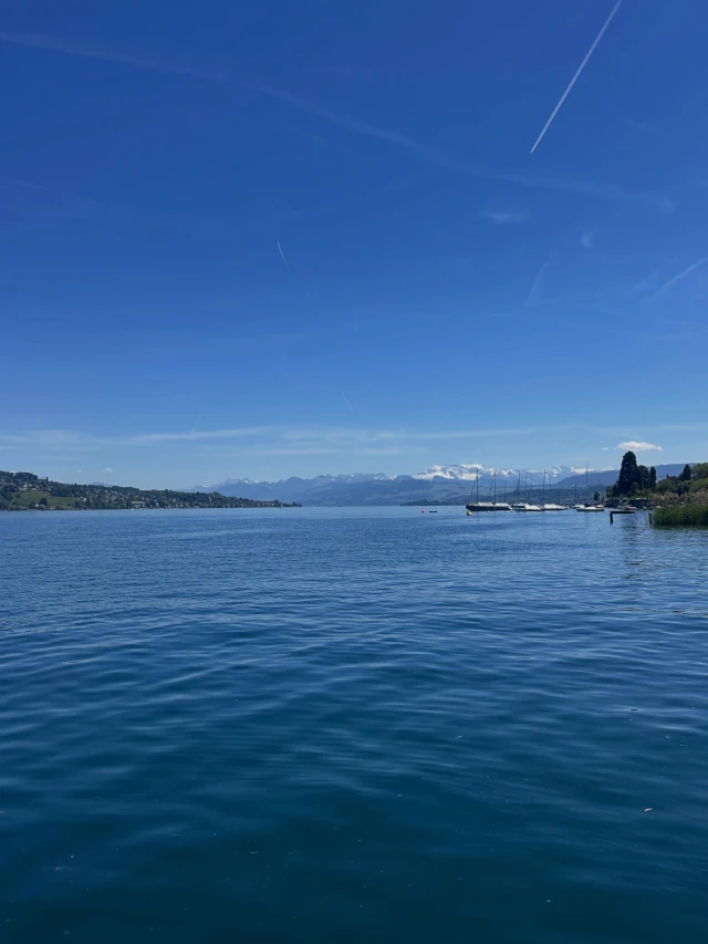 Lake Zurich chauffeur service with lakeside views, gardens, boats, and the Swiss Alps