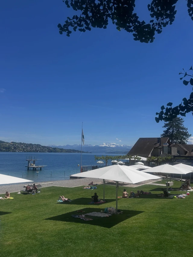 Lake Zurich chauffeur service with lakeside views, gardens, boats, and the Swiss Alps